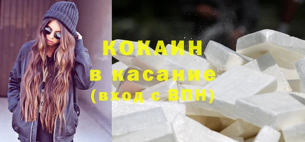 шишки Алексин