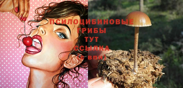 стафф Михайловск