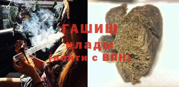 шишки Алексин