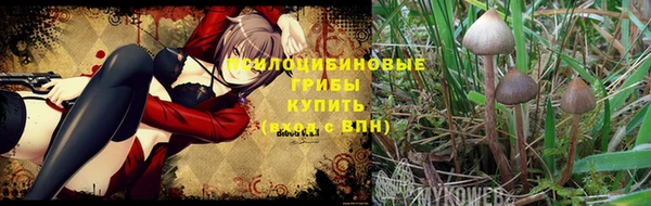амф Михайлов