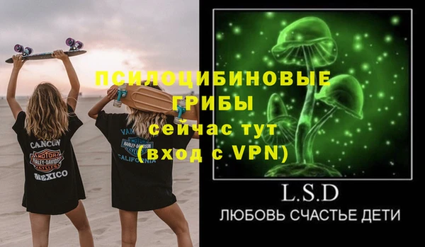 стафф Михайловск