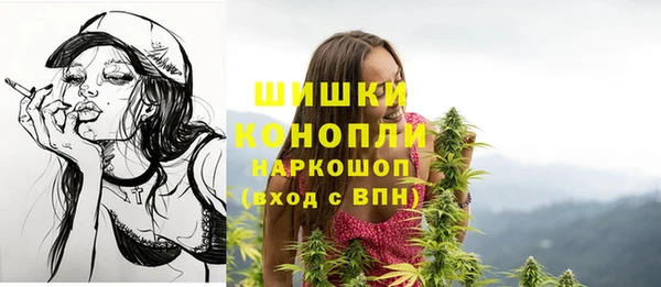 шишки Алексин